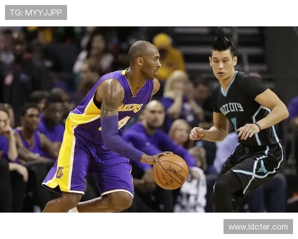 围绕NBA黄蜂重塑球队文化与未来竞争力的深度发展前景综合分析 围绕NBA黄蜂重塑球队文化与未来竞争力的深度发展前景综合分析